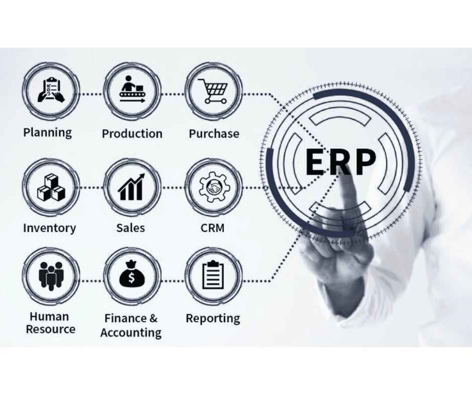 Serving An Ecosystem with Digital Solutions